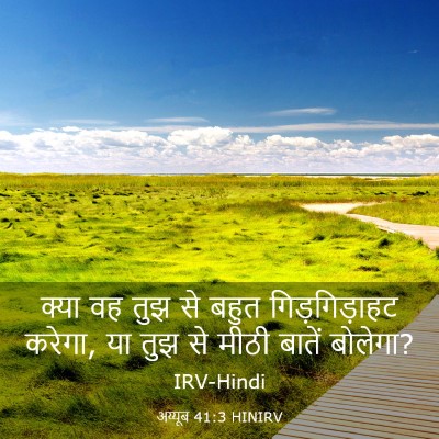 Picture 03 - अय्यूब 41:3 HINIRV - क्या वह तुझ से बहुत - Bible Verse Picture