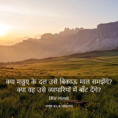 Picture 03 - अय्यूब 41:6 HINIRV - क्या मछुए के दल उसे - Bible Verse Picture