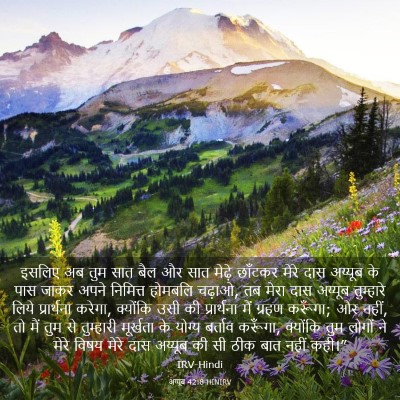 Picture 03 - अय्यूब 42:8 HINIRV - इसलिए अब तुम सात - Bible Verse Picture