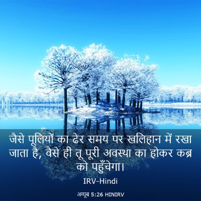 Picture 03 - अय्यूब 5:26 HINIRV - जैसे पूलियों का - Bible Verse Picture