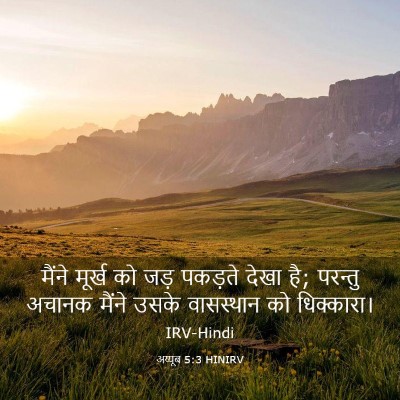 Picture 03 - अय्यूब 5:3 HINIRV - मैंने मूर्ख को जड़ - Bible Verse Picture