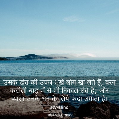 Picture 03 - अय्यूब 5:5 HINIRV - उसके खेत की उपज - Bible Verse Picture