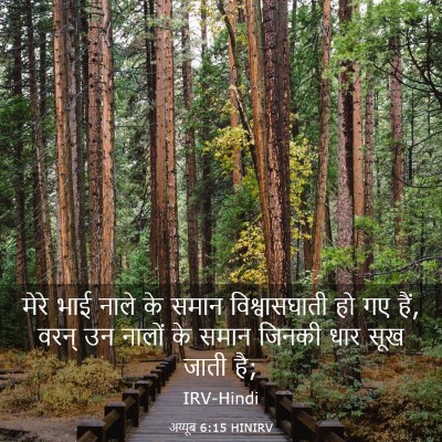 Picture 03 - अय्यूब 6:15 HINIRV - मेरे भाई नाले के - Bible Verse Picture