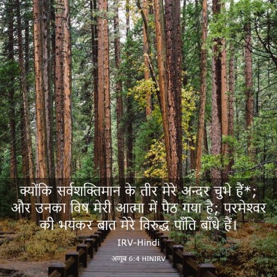 Picture 03 - अय्यूब 6:4 HINIRV - क्योंकि - Bible Verse Picture
