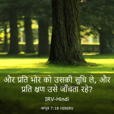 Picture 03 - अय्यूब 7:18 HINIRV - और प्रति भोर को - Bible Verse Picture