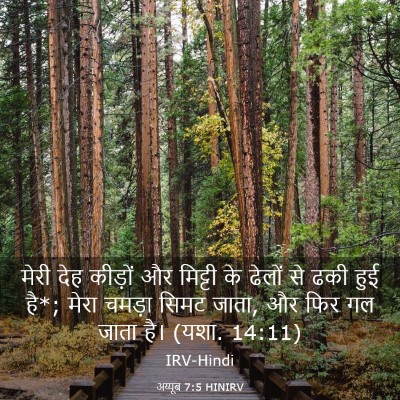 Picture 03 - अय्यूब 7:5 HINIRV - मेरी देह कीड़ों और - Bible Verse Picture