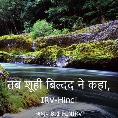 Picture 03 - अय्यूब 8:1 HINIRV - तब शूही बिल्दद ने - Bible Verse Picture