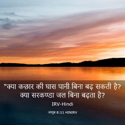 Picture 03 - अय्यूब 8:11 HINIRV - “क्या कछार की घास - Bible Verse Picture