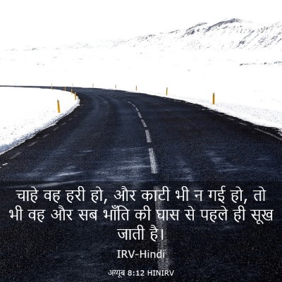 Picture 03 - अय्यूब 8:12 HINIRV - चाहे वह हरी हो, और - Bible Verse Picture