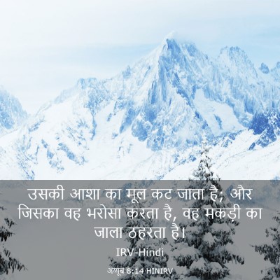 Picture 03 - अय्यूब 8:14 HINIRV - उसकी आशा का मूल कट - Bible Verse Picture