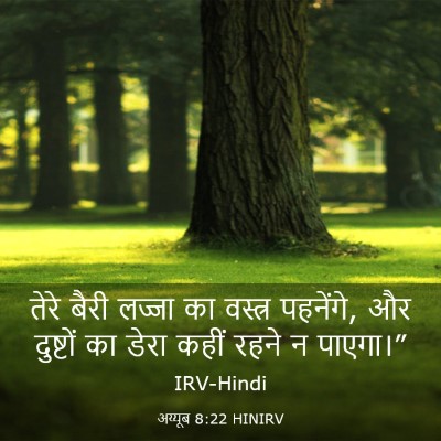 Picture 03 - अय्यूब 8:22 HINIRV - तेरे बैरी लज्जा का - Bible Verse Picture
