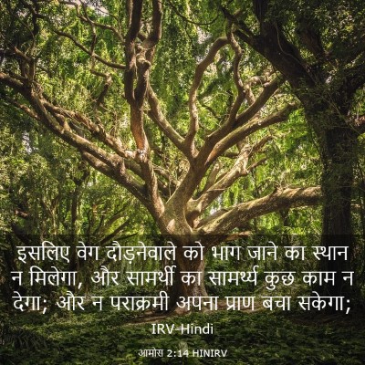 Picture 03 - आमोस 2:14 HINIRV - इसलिए वेग - Bible Verse Picture
