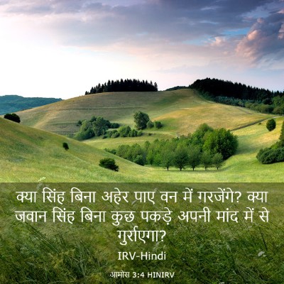 Picture 03 - आमोस 3:4 HINIRV - क्या सिंह बिना - Bible Verse Picture