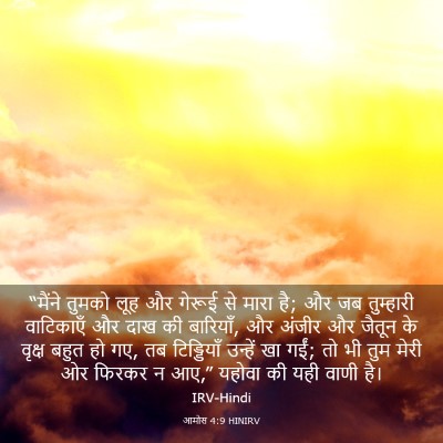 Picture 03 - आमोस 4:9 HINIRV - “मैंने तुमको लूह - Bible Verse Picture