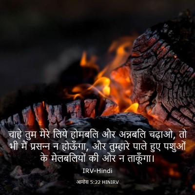 Picture 03 - आमोस 5:22 HINIRV - चाहे तुम मेरे लिये - Bible Verse Picture