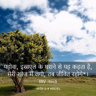 Picture 03 - आमोस 5:4 HINIRV - यहोवा, इस्राएल के - Bible Verse Picture