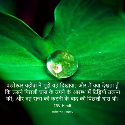 Picture 03 - आमोस 7:1 HINIRV - परमेश्‍वर यहोवा - Bible Verse Picture