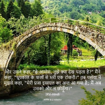 Picture 03 - आमोस 8:2 HINIRV - और उसने कहा, “हे - Bible Verse Picture