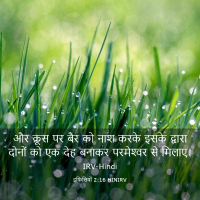 Picture 03 - इफिसियों 2:16 HINIRV - और क्रूस पर बैर को - Bible Verse Picture