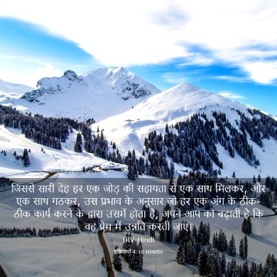 Picture 03 - इफिसियों 4:16 HINIRV - जिससे सारी देह हर - Bible Verse Picture