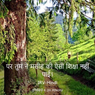 Picture 03 - इफिसियों 4:20 HINIRV - पर तुम ने मसीह की - Bible Verse Picture