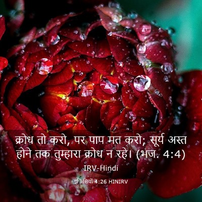 Picture 03 - इफिसियों 4:26 HINIRV - क्रोध तो करो, पर - Bible Verse Picture