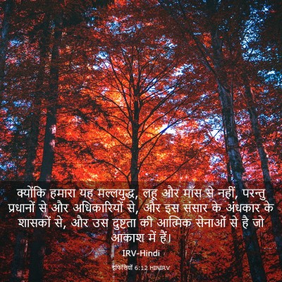 Picture 03 - इफिसियों 6:12 HINIRV - क्योंकि हमारा यह - Bible Verse Picture