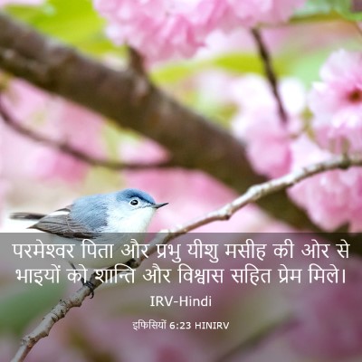 Picture 03 - इफिसियों 6:23 HINIRV - परमेश्‍वर पिता और - Bible Verse Picture