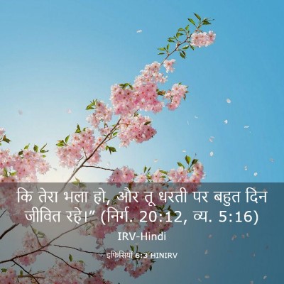 Picture 03 - इफिसियों 6:3 HINIRV - कि तेरा भला हो, और - Bible Verse Picture