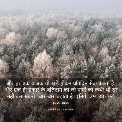 Picture 03 - इब्रानियों 10:11 HINIRV - और हर एक याजक तो - Bible Verse Picture