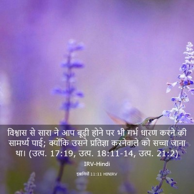 Picture 03 - इब्रानियों 11:11 HINIRV - विश्वास से सारा ने - Bible Verse Picture