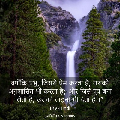 Picture 03 - इब्रानियों 12:6 HINIRV - क्योंकि प्रभु, - Bible Verse Picture