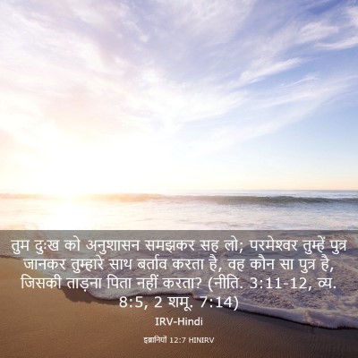 Picture 03 - इब्रानियों 12:7 HINIRV - तुम दुःख को - Bible Verse Picture