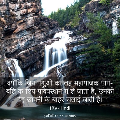 Picture 03 - इब्रानियों 13:11 HINIRV - क्योंकि जिन पशुओं - Bible Verse Picture