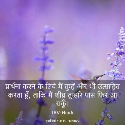 Picture 03 - इब्रानियों 13:19 HINIRV - प्रार्थना करने के - Bible Verse Picture