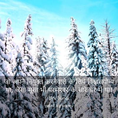 Picture 03 - इब्रानियों 3:2 HINIRV - जो अपने नियुक्त - Bible Verse Picture