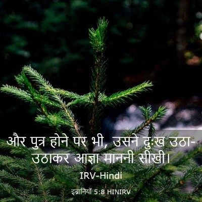 Picture 03 - इब्रानियों 5:8 HINIRV - और पुत्र होने पर - Bible Verse Picture