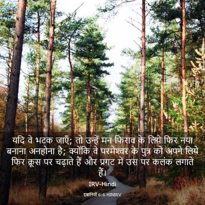 Picture 03 - इब्रानियों 6:6 HINIRV - यदि वे भटक जाएँ; तो - Bible Verse Picture