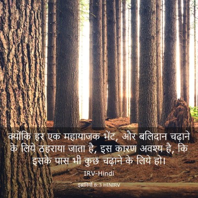 Picture 03 - इब्रानियों 8:3 HINIRV - क्योंकि हर एक - Bible Verse Picture