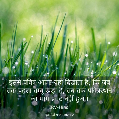 Picture 03 - इब्रानियों 9:8 HINIRV - इससे पवित्र आत्मा - Bible Verse Picture