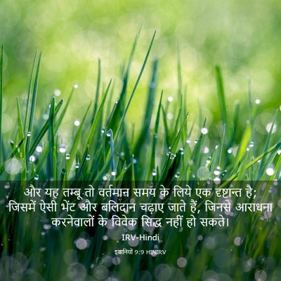 Picture 03 - इब्रानियों 9:9 HINIRV - और यह तम्बू तो - Bible Verse Picture