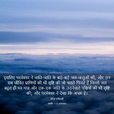 Picture 03 - उत्पत्ति 1:21 HINIRV - इसलिए परमेश्‍वर - Bible Verse Picture