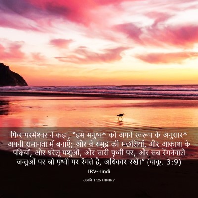 Picture 03 - उत्पत्ति 1:26 HINIRV - फिर परमेश्‍वर ने - Bible Verse Picture