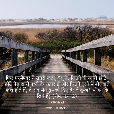 Picture 03 - उत्पत्ति 1:29 HINIRV - फिर परमेश्‍वर ने - Bible Verse Picture