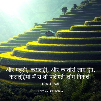 Picture 03 - उत्पत्ति 10:14 HINIRV - और पत्रूसी, कसलूही, - Bible Verse Picture