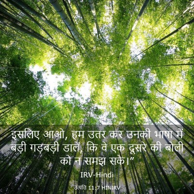 Picture 03 - उत्पत्ति 11:7 HINIRV - इसलिए आओ, हम उतर कर - Bible Verse Picture