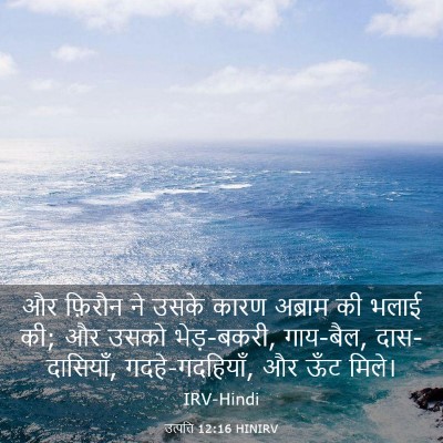 Picture 03 - उत्पत्ति 12:16 HINIRV - और फ़िरौन ने उसके - Bible Verse Picture
