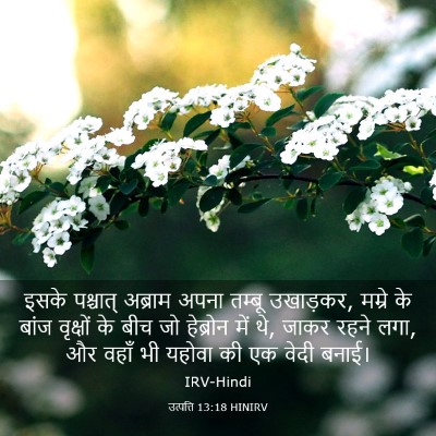 Picture 03 - उत्पत्ति 13:18 HINIRV - इसके पश्चात् - Bible Verse Picture