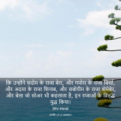 Picture 03 - उत्पत्ति 14:2 HINIRV - कि उन्होंने सदोम - Bible Verse Picture
