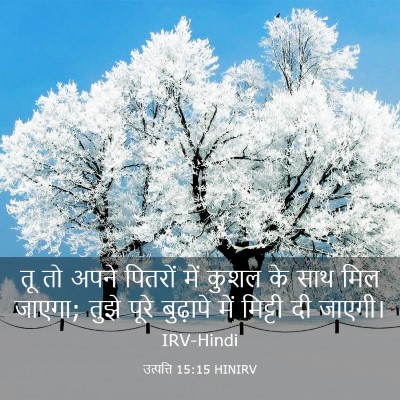 Picture 03 - उत्पत्ति 15:15 HINIRV - तू तो अपने पितरों - Bible Verse Picture